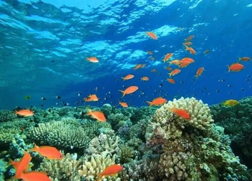 5 in 1 tour: Canyon + Blue Hole + Camel Ride + Moto Safari + Dahab from Sharm El Sheikh.