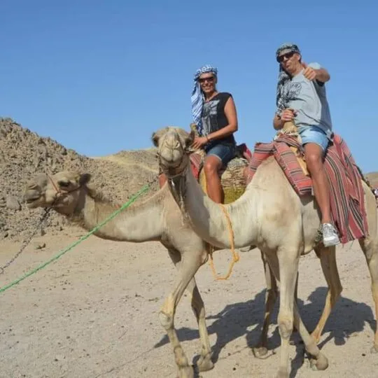 Egypt Tours