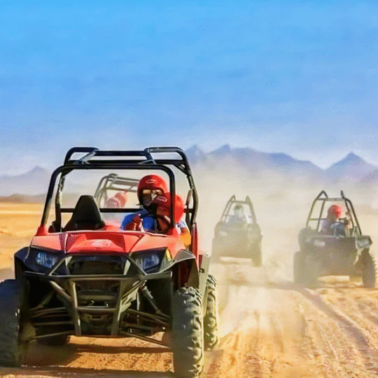 Super Buggy Safari Trip, camel ride, dinner and oriental show  in Sharm El Sheikh