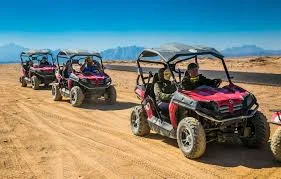 Egypt Tours