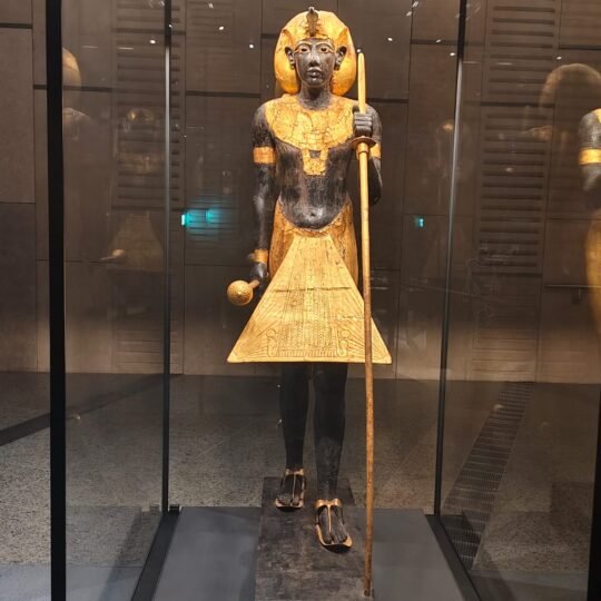 Egypt Tours