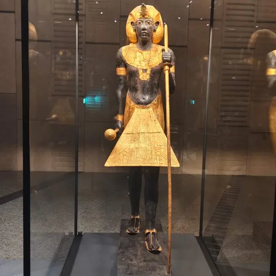 Egypt Tours