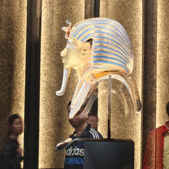 Egypt Tours