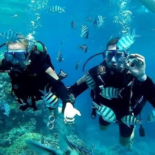 Egypt Excursions
