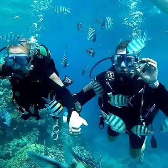 Scuba Diving in Hurghada