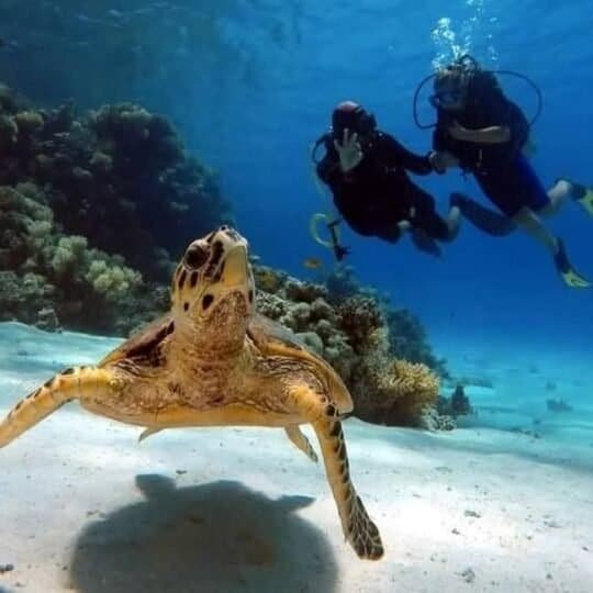 Egypt Excursions