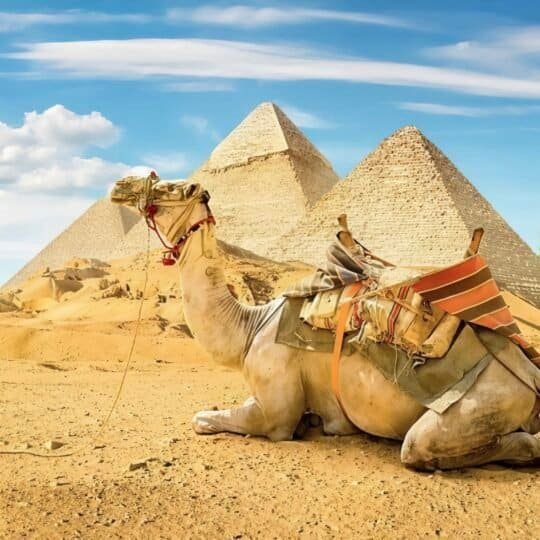 cairo Day trip from hurghada cairo Day trip from hurghada