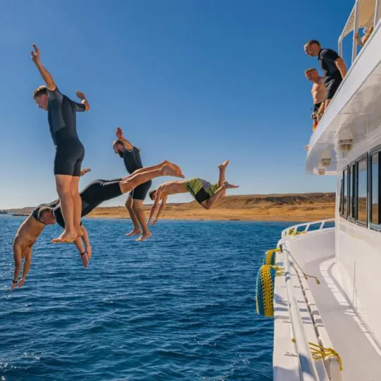 Egypt Tours