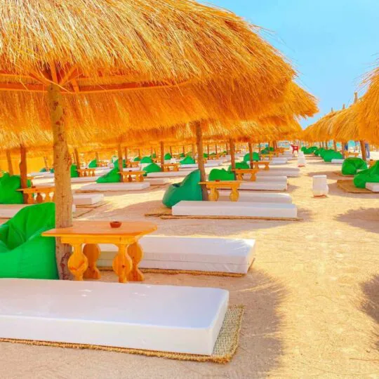 Egypt Tours