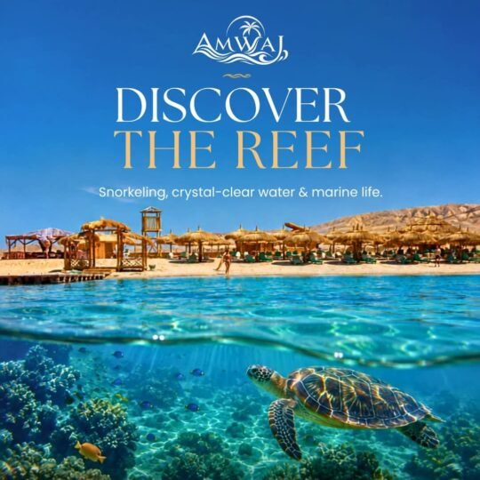 Egypt Tours