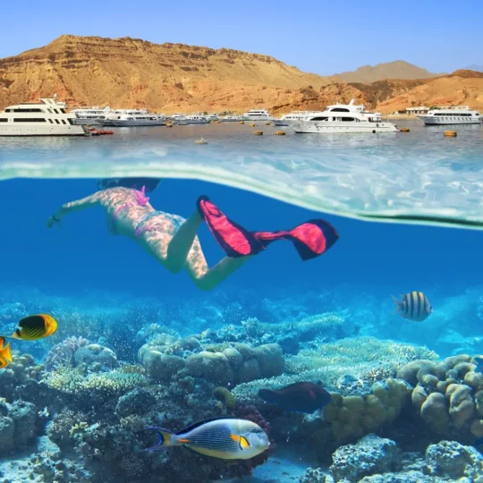 Egypt Tours